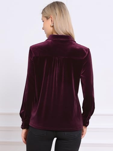 Vintage Velvet Top for Women Fall Winter Collared Long Sleeve Button Down Shirt