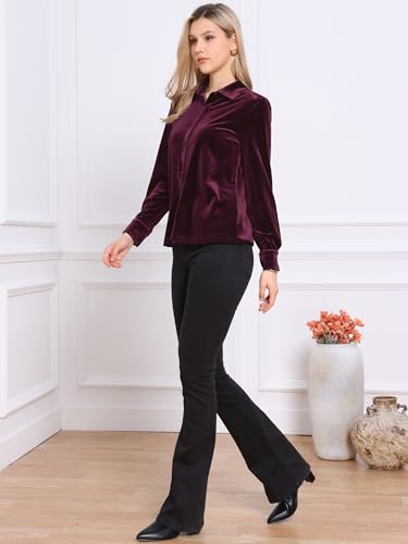 Vintage Velvet Top for Women Fall Winter Collared Long Sleeve Button Down Shirt